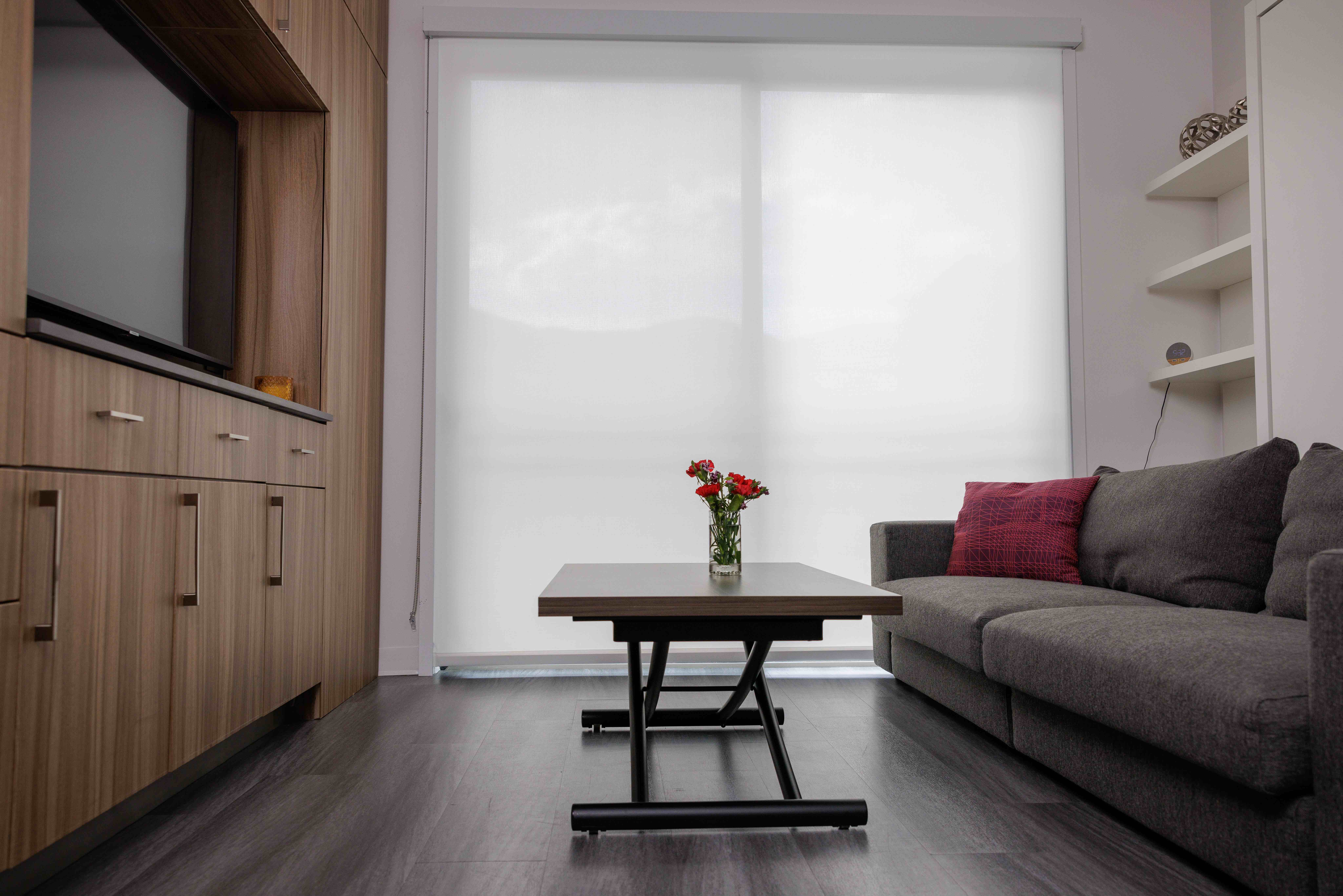 Tidy Airbnb living room with a made-up sofa and clean windows